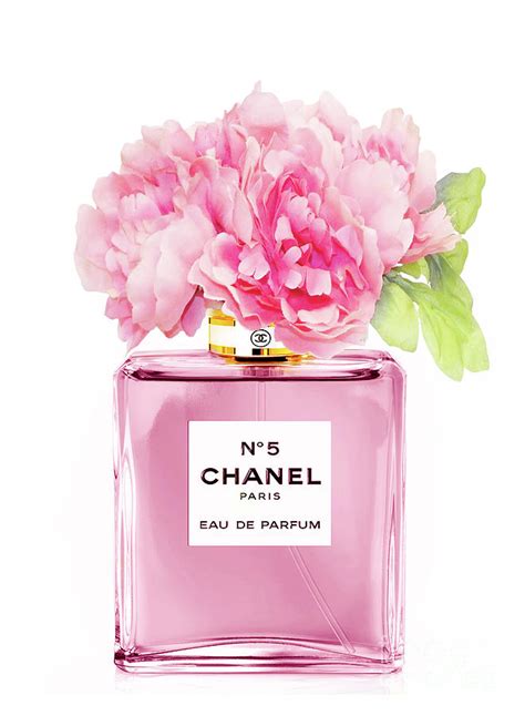 chanel perfume floral pink black|Chanel perfume in pink box.